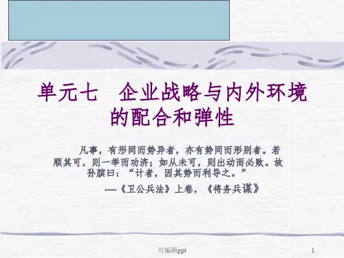 企业战略和内外环境ppt课件