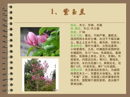 落叶小乔木灌木