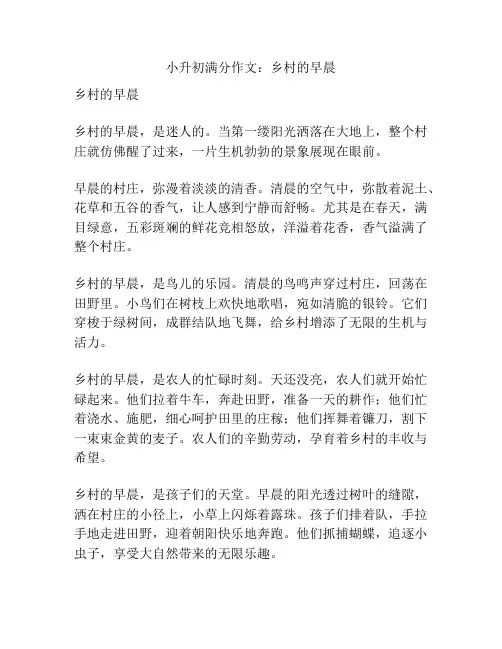 小升初满分作文：乡村的早晨