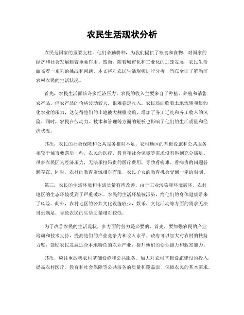 农民生活现状分析