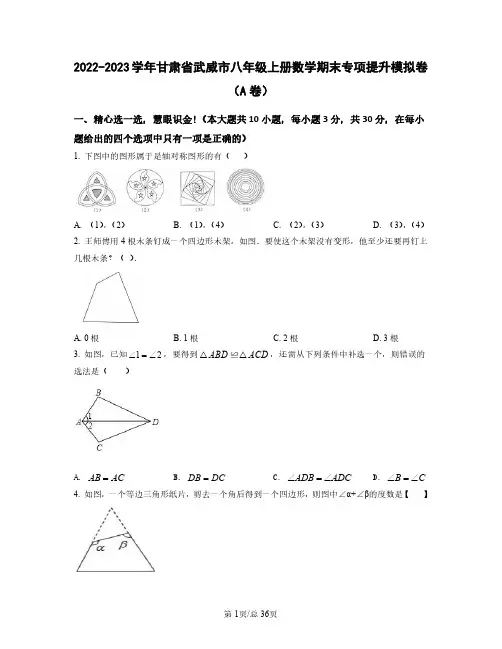 2022——2023学年甘肃省武威市八年级上册数学期末专项提升模拟卷AB卷(含答案)