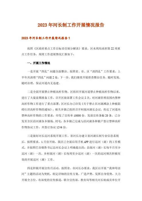 2023年河长制工作开展情况报告