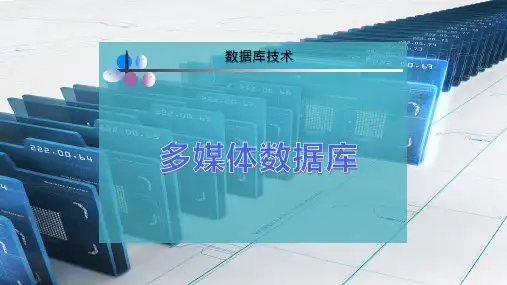 多媒体数据库
