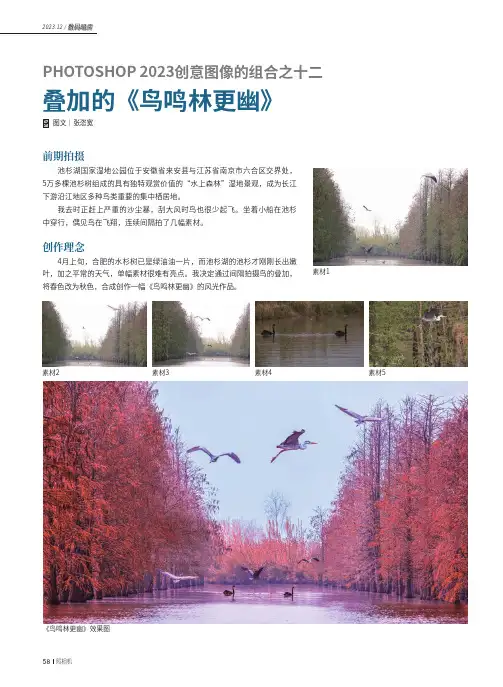PHOTOSHOP_2023创意图像的组合之十二_叠加的《鸟鸣林更幽》