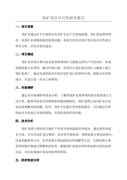 尾矿项目可行性研究报告