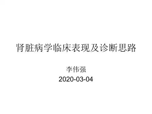 肾病学诊疗思路
