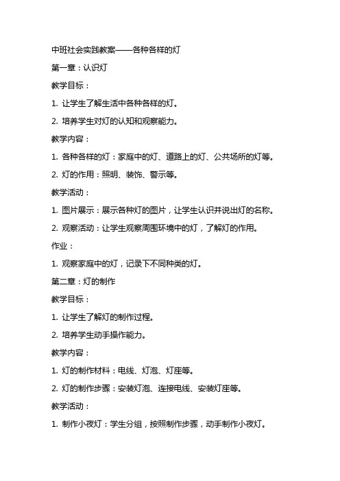 中班社会实践教案,各种各样灯