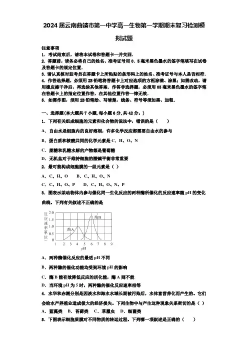 2024届云南曲靖市第一中学高一生物第一学期期末复习检测模拟试题含解析