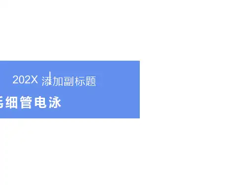 高效毛细管电泳技术