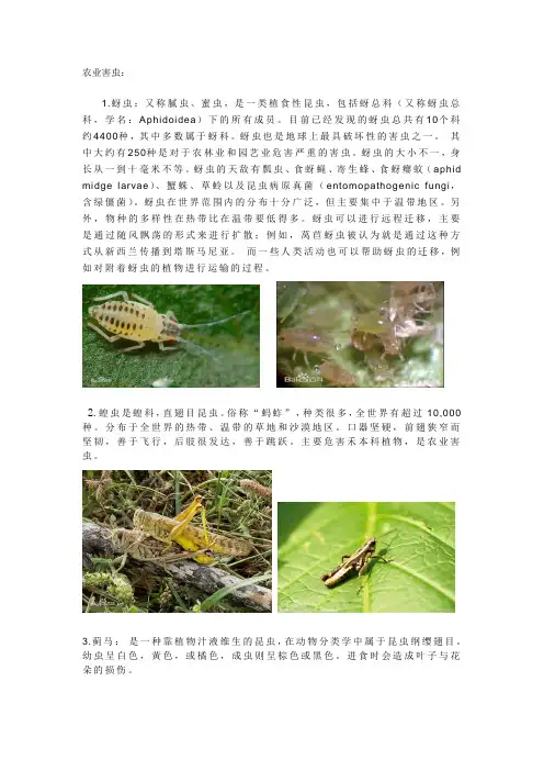 农业害虫