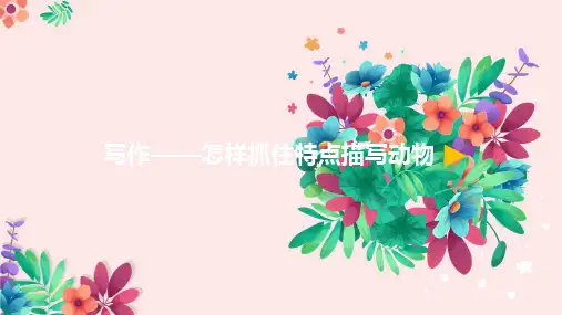 语文微课写作——怎样抓住特点描写动物优质课公开课微课课件