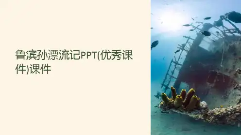 鲁滨孙漂流记(优秀课件)课件