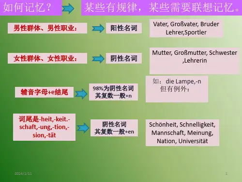 德语名词和动词PPT文档资料