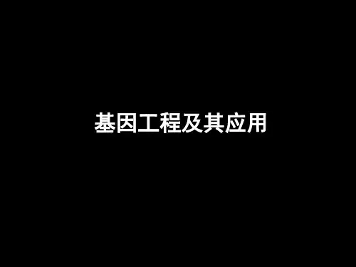 高二生物6.2基因工程及其应用(课件)