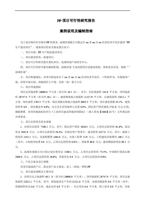 PP项目可行性研究报告
