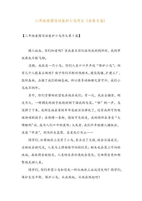 二年级看图写话爱护小鸟作文(合集3篇)