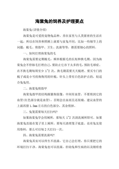海棠兔的饲养及护理要点