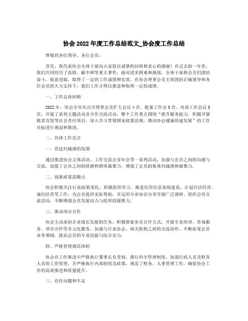 协会2022年度工作总结范文_协会度工作总结