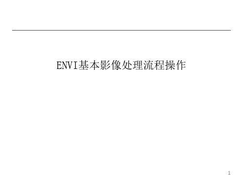 ENVI基本影像处理流程操作ppt课件