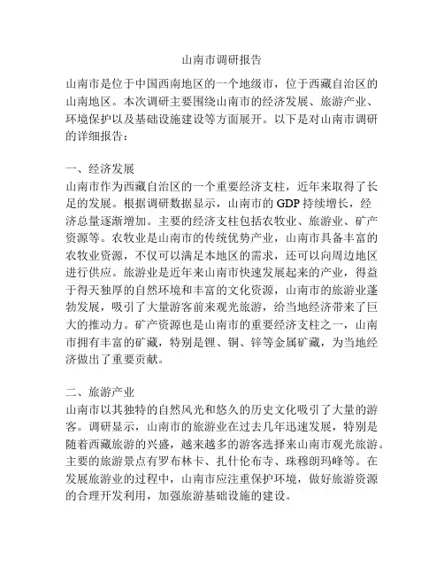 山南市调研报告