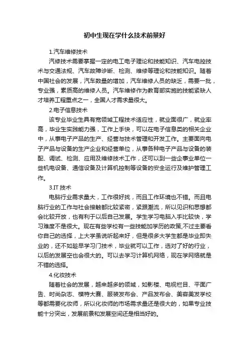 初中生现在学什么技术前景好