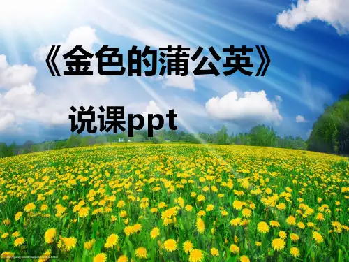 冀教版三年级语文下册说课《金色的蒲公英》课件