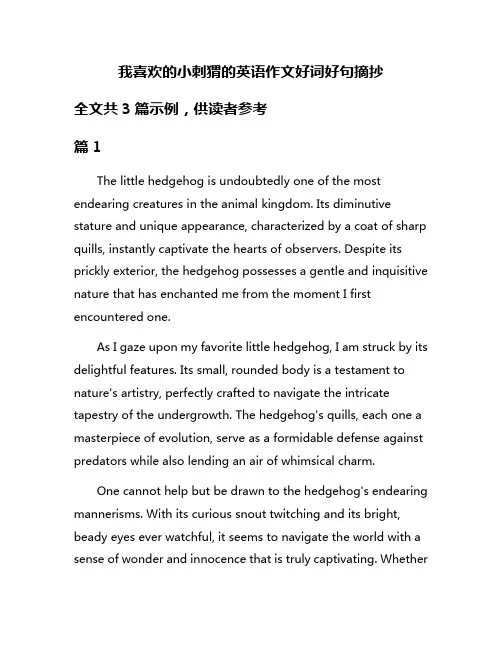 我喜欢的小刺猬的英语作文好词好句摘抄