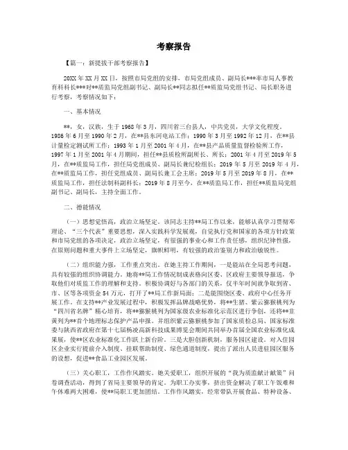 考察报告
