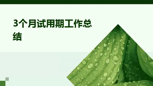 3个月试用期工作总结PPT