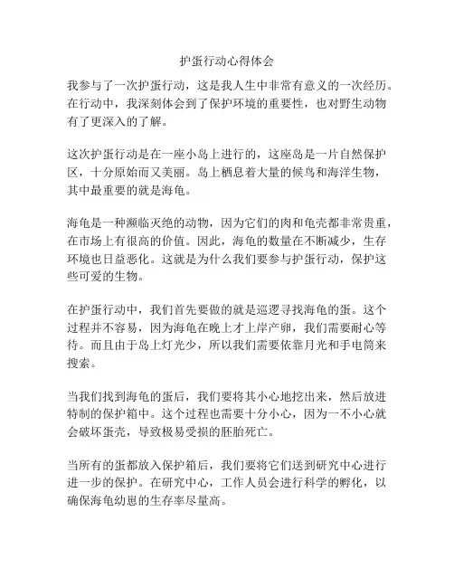 护蛋行动心得体会