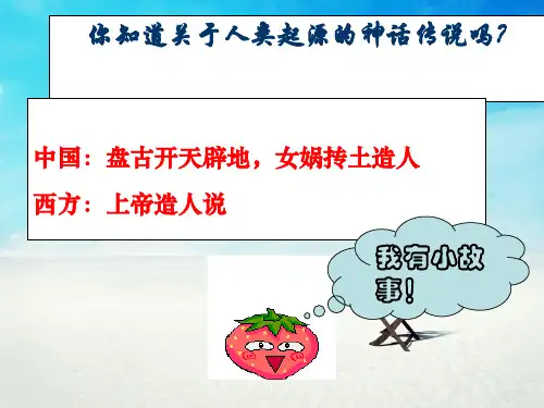 祖国境内远古居民PPT教学课件