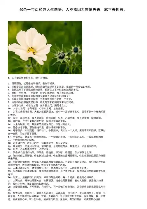 40条一句话经典人生感悟：人不能因为害怕失去，就不去拥有。