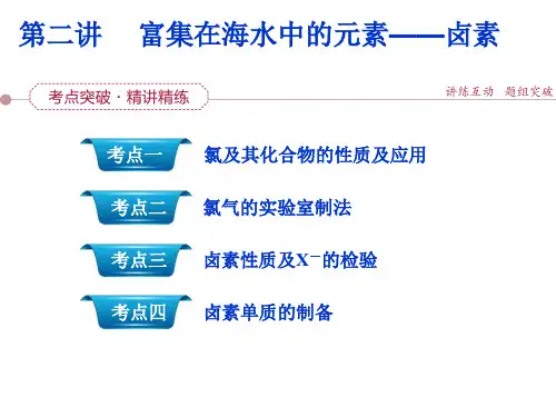 人教版高中化学复习  氯气 课件 (共38张PPT)