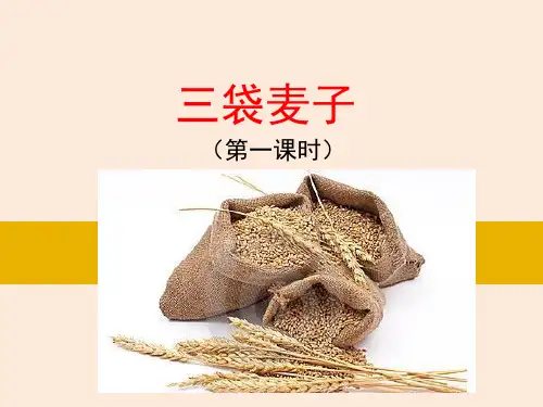 三年级下册语文课件-4.三袋麦子公开课一等奖优秀课件