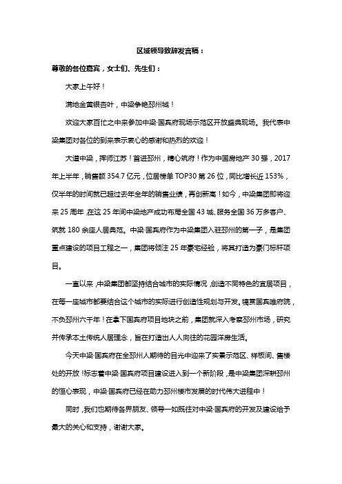 示范区开放区域领导致辞发言稿