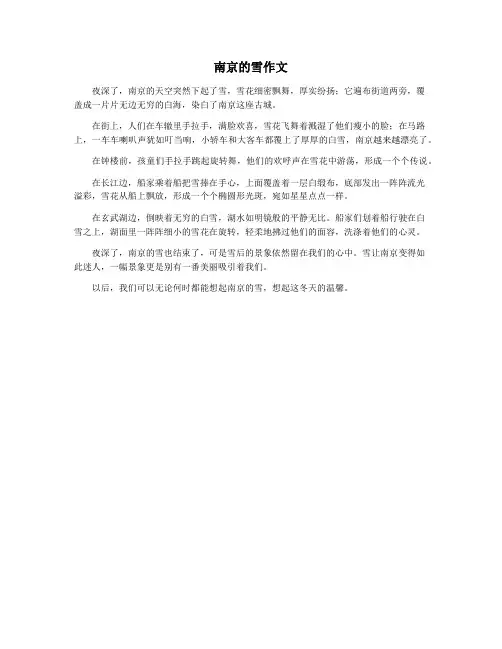 南京的雪作文