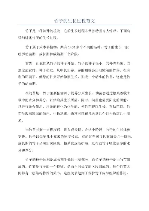竹子的生长过程范文