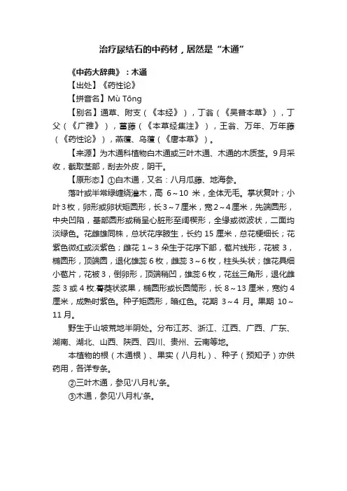 治疗尿结石的中药材，居然是“木通”