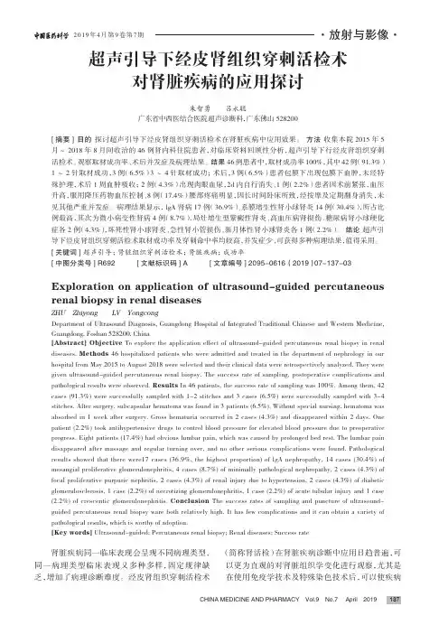 超声引导下经皮肾组织穿刺活检术对肾脏疾病的应用探讨