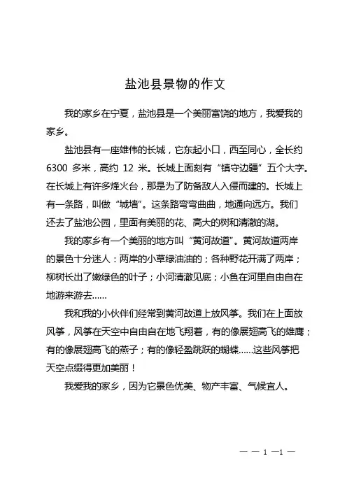 盐池县景物的作文