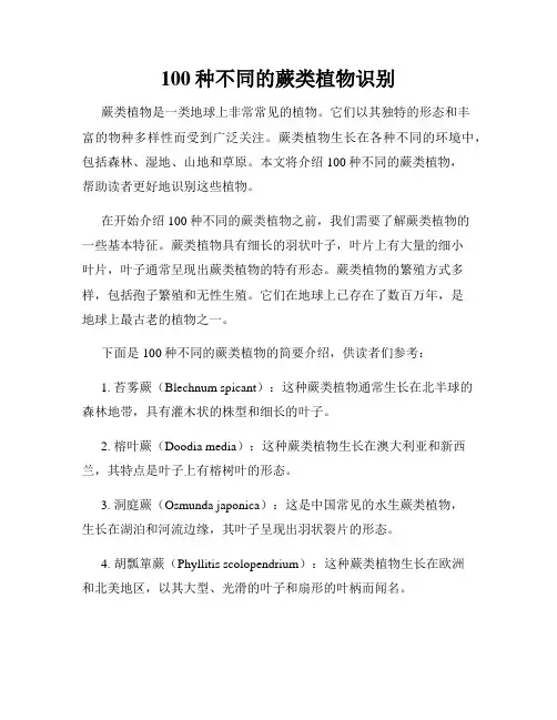 100种不同的蕨类植物识别