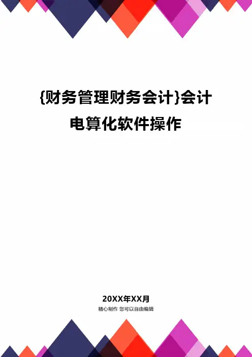 {财务管理财务会计}会计电算化软件操作