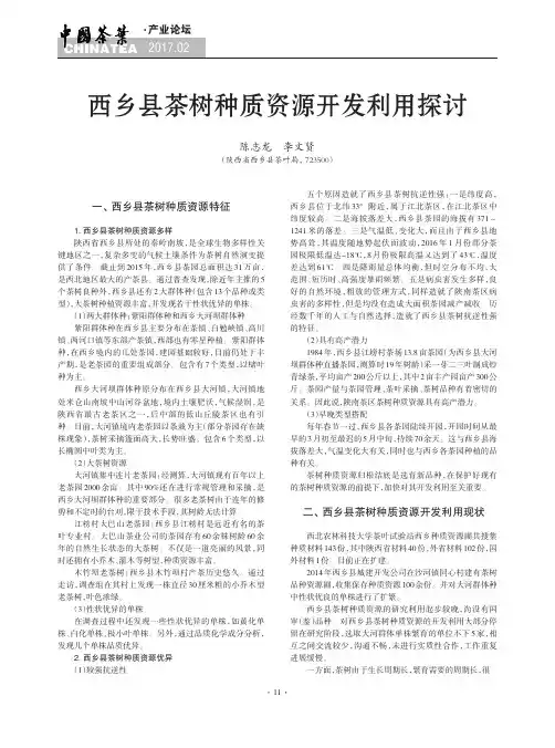 西乡县茶树种质资源开发利用探讨