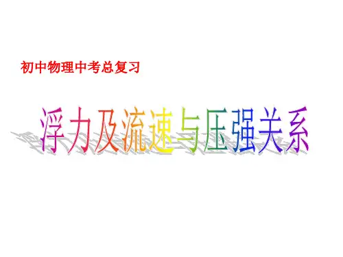 《浮力及其流体力学》复习课件_