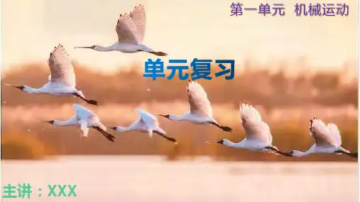 第一单元《机械运动》单元复习八年级物理上册(人教版2024)