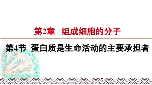 蛋白质是生命活动的主要承担者公开课课件ppt.pptx
