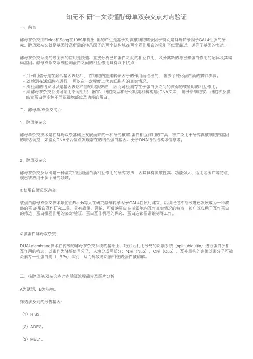 知无不“研”一文读懂酵母单双杂交点对点验证