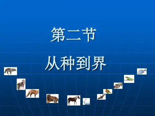 初中科学精品课件6.1.2从种到界
