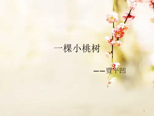 部编版语文七年级下册第19课《一棵小桃树》课件(共18张PPT)