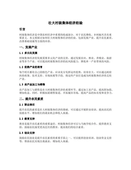 壮大村级集体经济经验